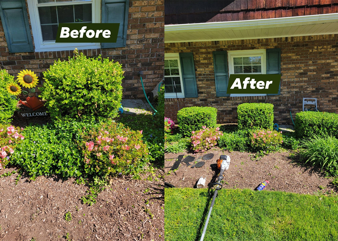 Professional Landscaping and Lawn Care Services