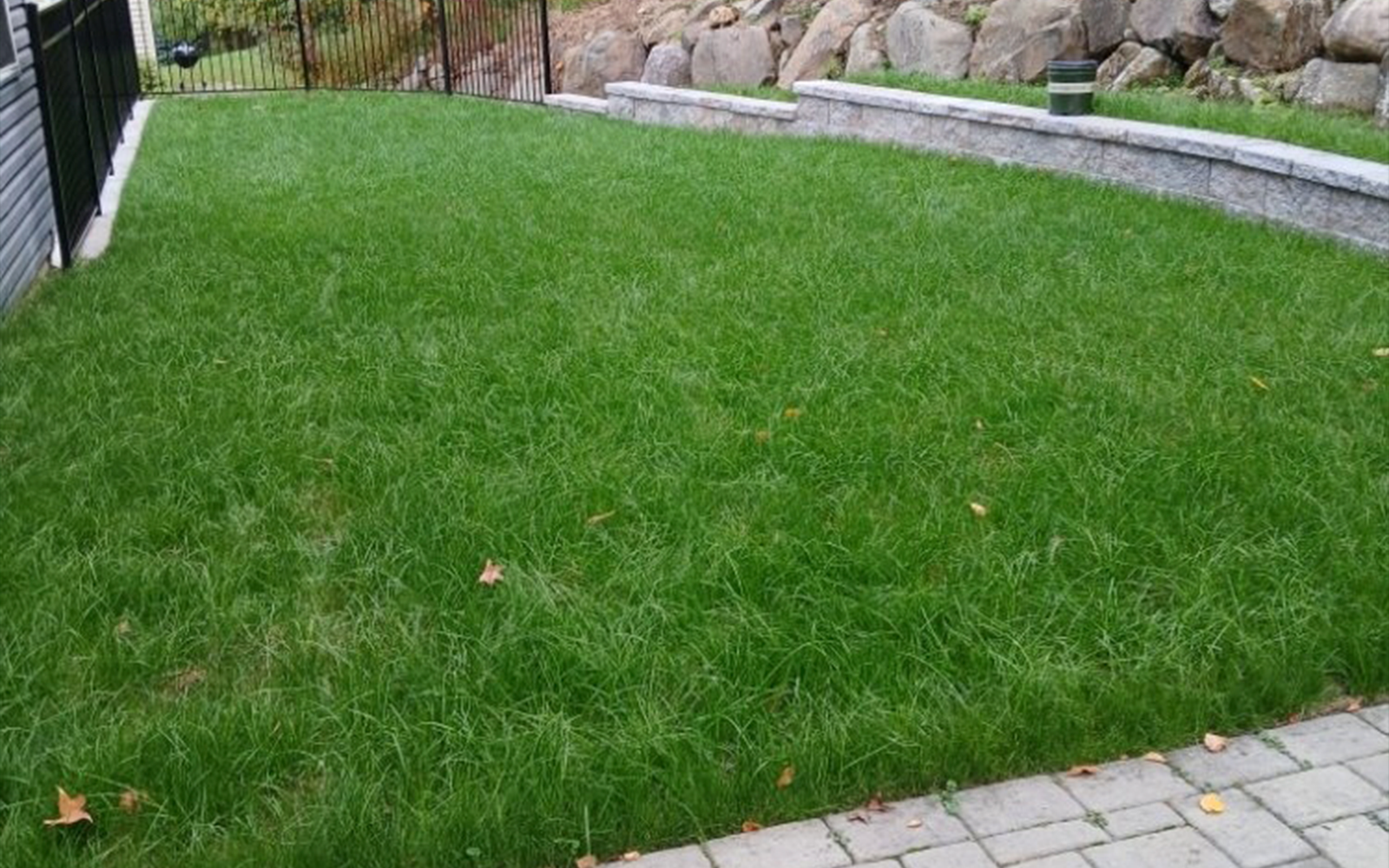 Mowing Services