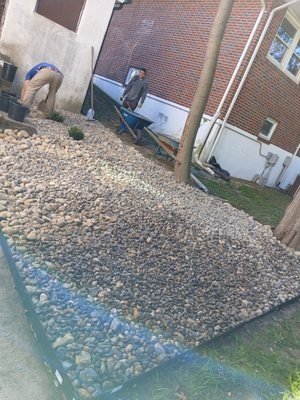 Spring / Fall Clean Up